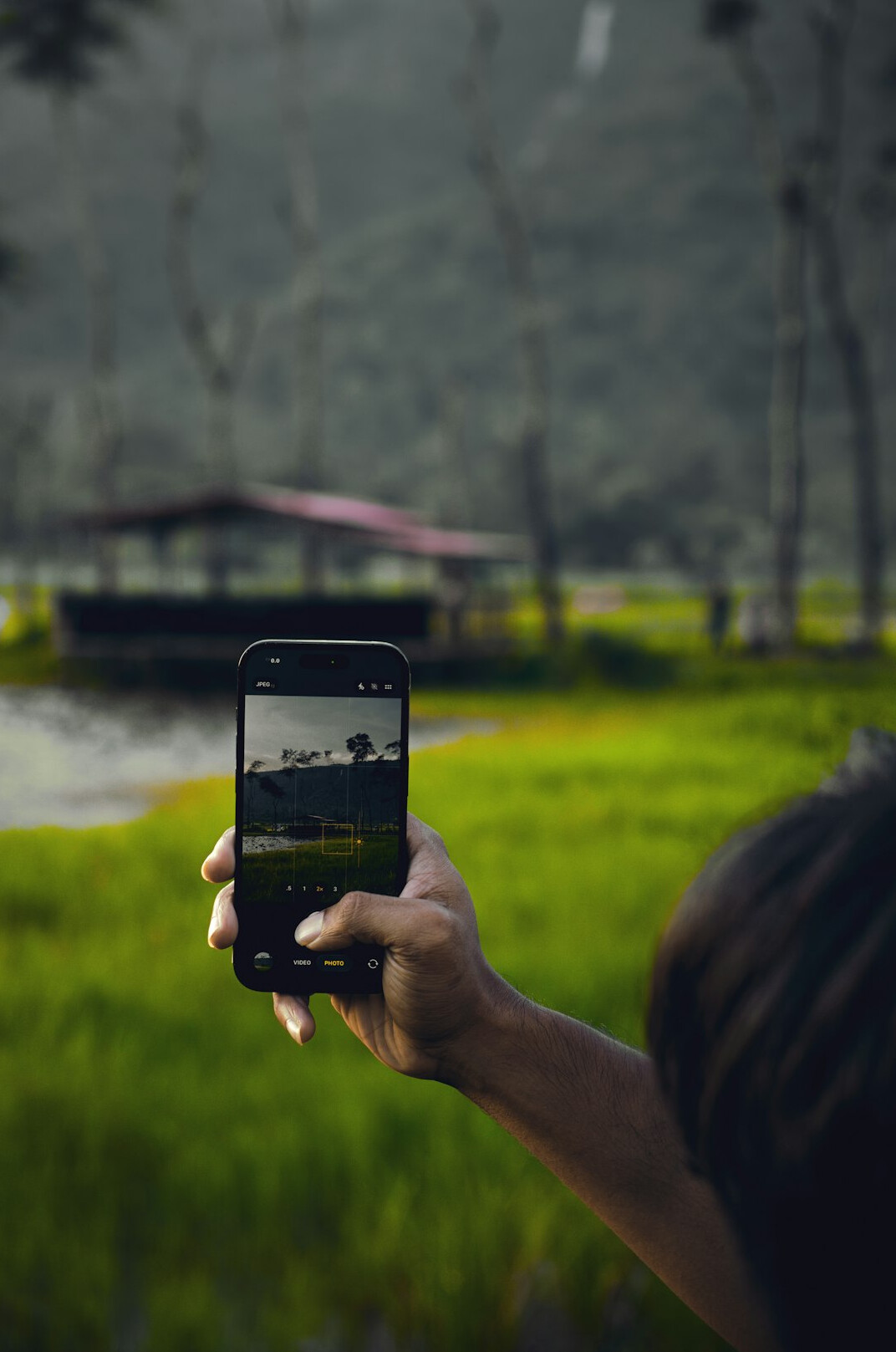 rural area with smartphone