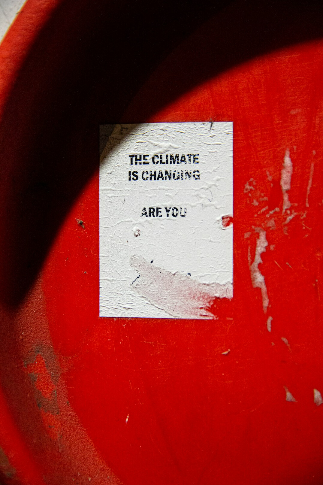climate change survey results